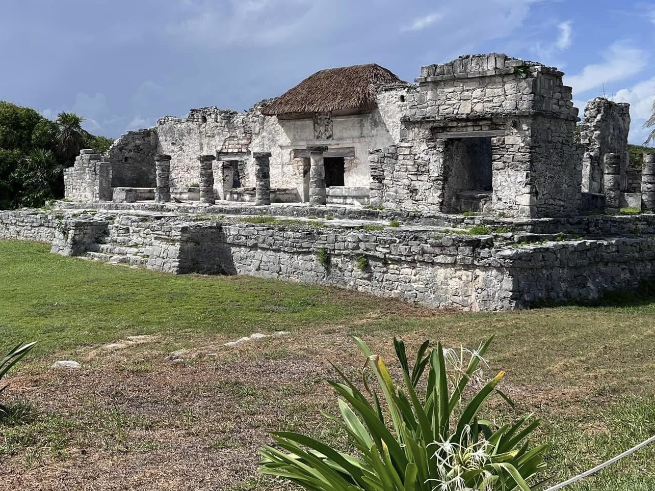2024-Present Mexico Cultural Exchange